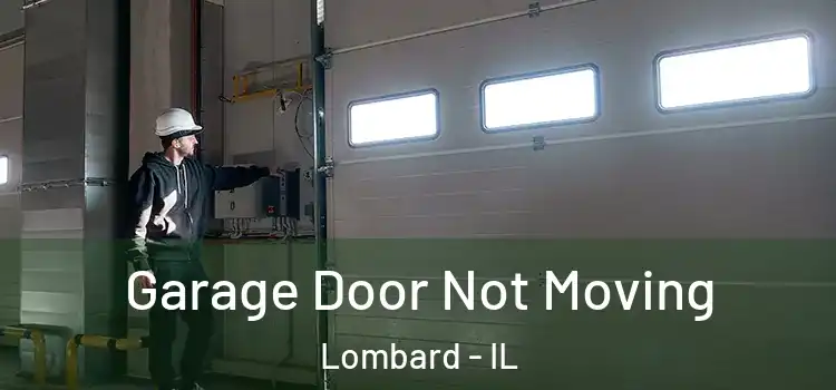  Garage Door Not Moving Lombard - IL