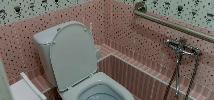 Meeting Diverse Needs With Accessible Restroom Solutions in Lombard, IL