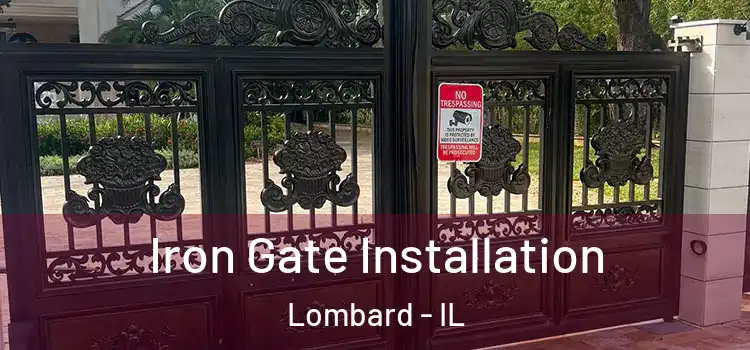 Iron Gate Installation Lombard - IL