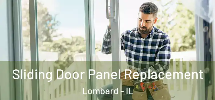  Sliding Door Panel Replacement Lombard - IL